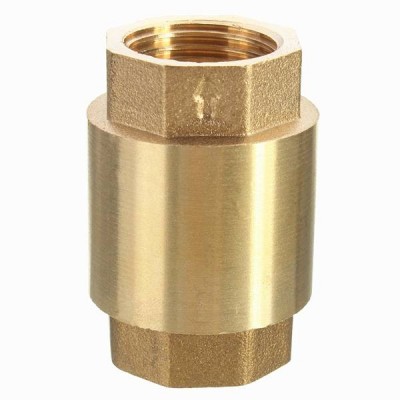 1/2 Inch Npt Vertical In-line Spring Loaded Brass Check Valve